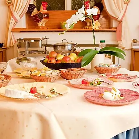 Hotel City Hotel 3*
